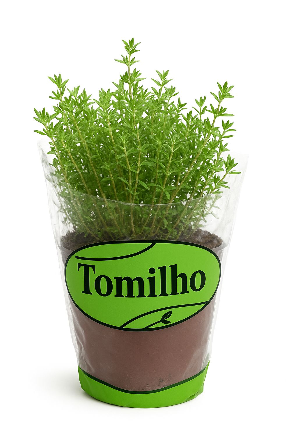 Vaso de Tomilho unidade