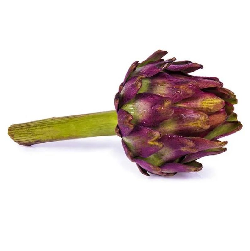 Alcachofra unidade