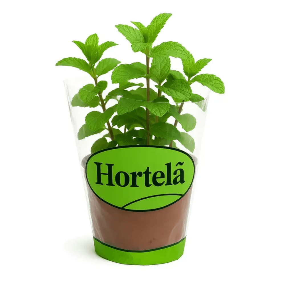 Vaso de Hortelã unidade