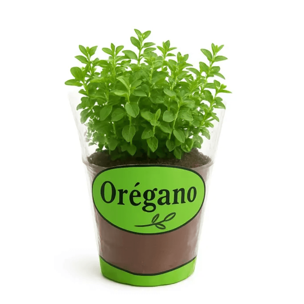 Vaso de Orégano unidade