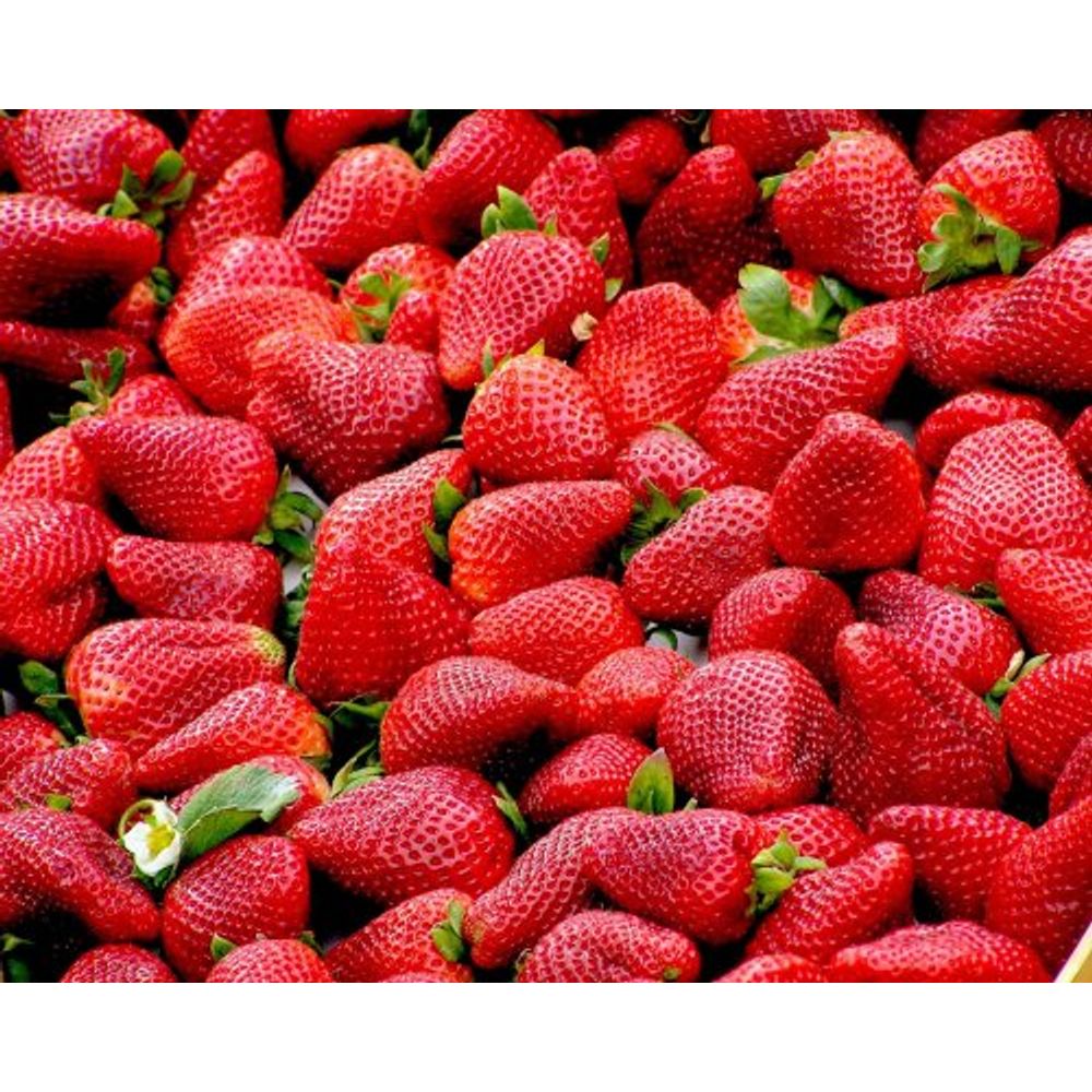 Morango Super Agro Gonçalves 320g