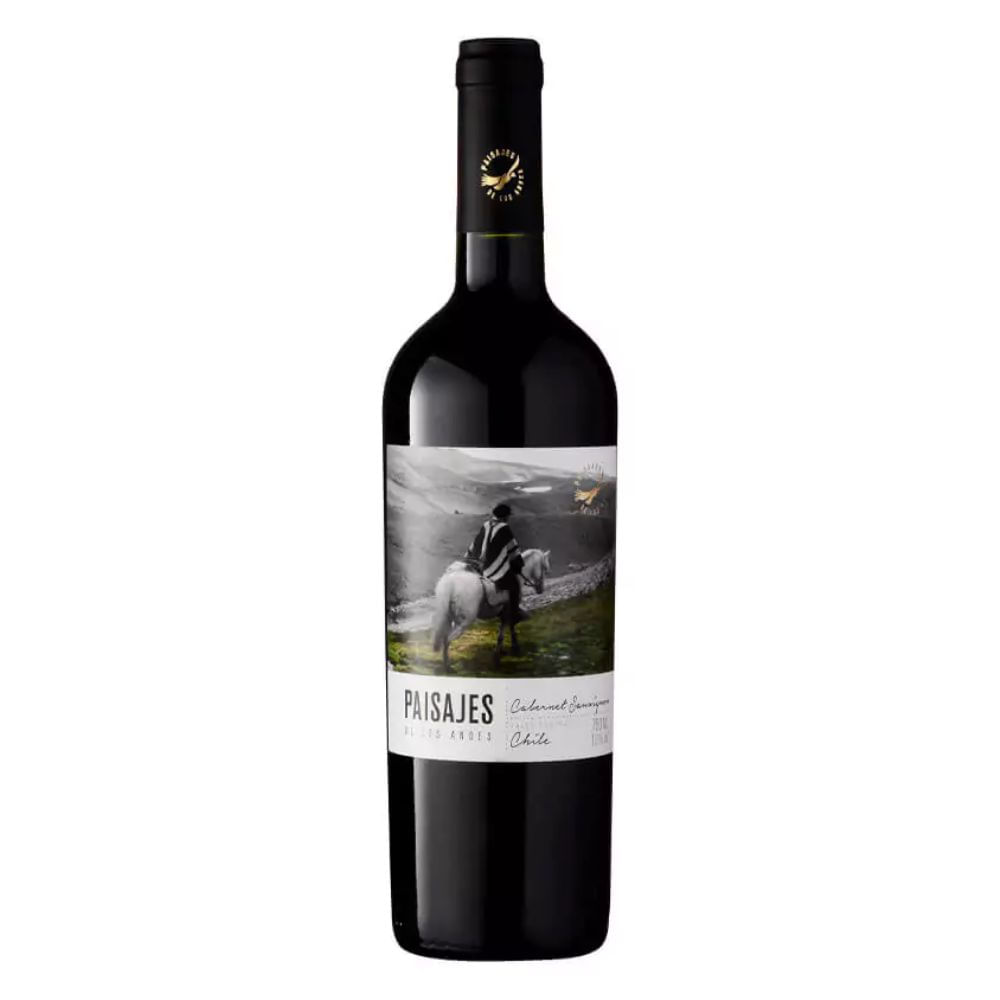 Vinho Tinto Cabernet Sauvignon Paisajes de los Andes 750ml