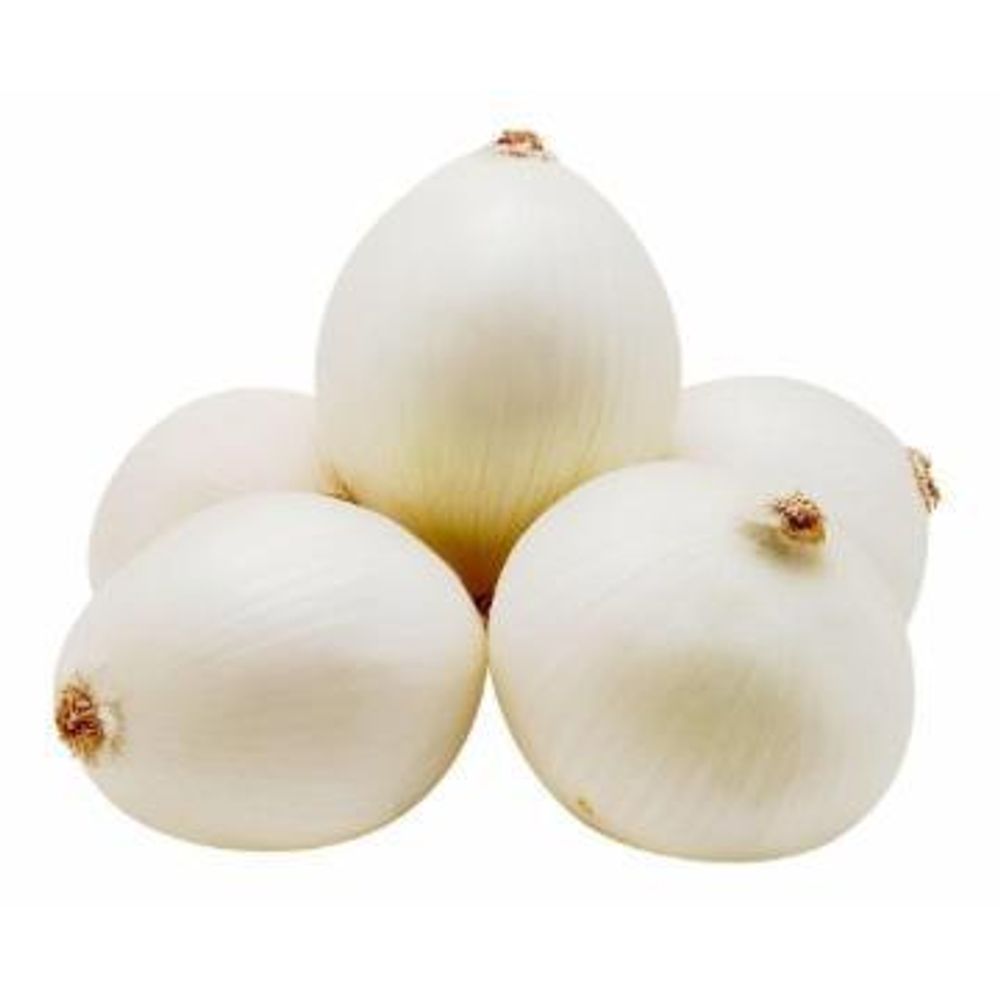 Cebola Branca kg