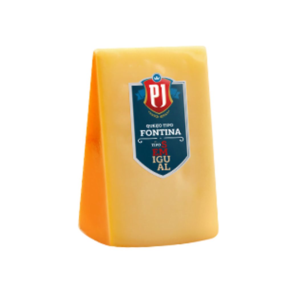 Queijo Tipo Fontina PJ kg