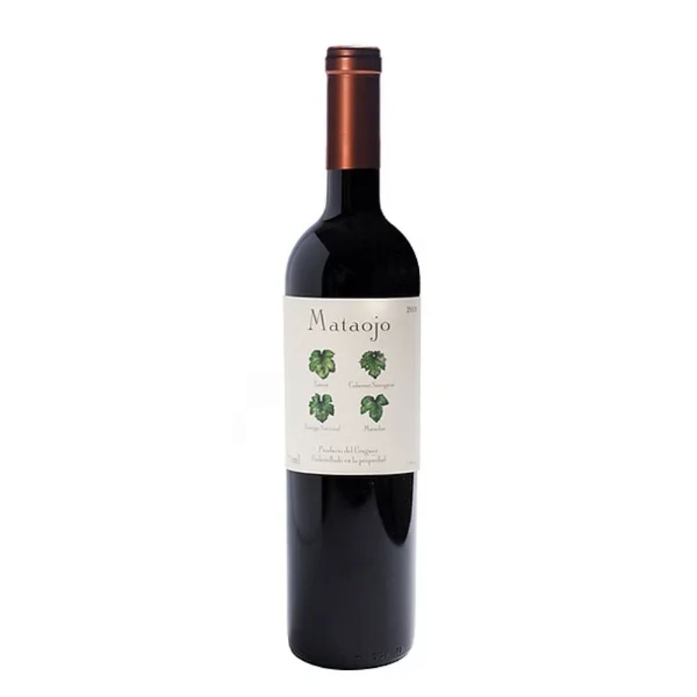Vinho Tinto Blend Mataojo 750ml